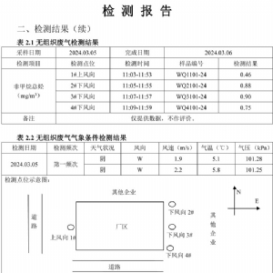 檢測(cè)報(bào)告(2024.03.20)